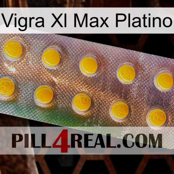 Vigra Xl Max Platinum new11.jpg